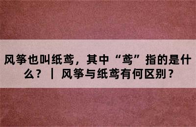 风筝也叫纸鸢，其中“鸢”指的是什么？｜ 风筝与纸鸢有何区别？